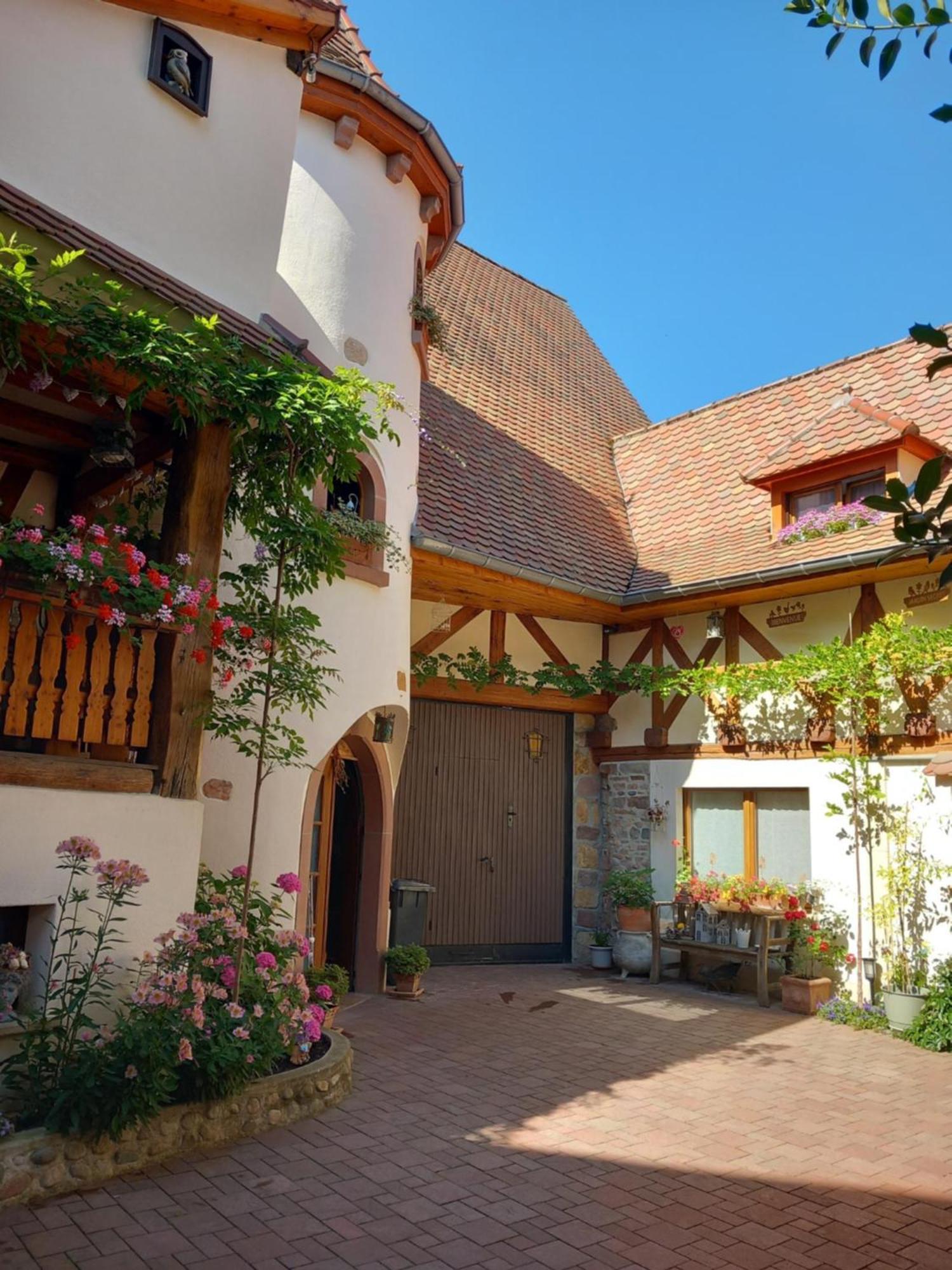 Chambres Suite D'Hote Divine Providence Wintzenheim Ngoại thất bức ảnh